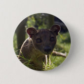 Button - Fossa (Voorkant)