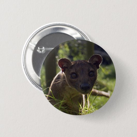 Button - Fossa (Voorkant /achterkant)