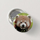 Button Foto red panda, animal 0049. (Voorkant /achterkant)