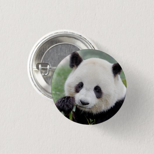 Button Foto reus panda, animal 0039. (Voorkant /achterkant)