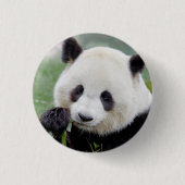 Button Foto reus panda, animal 0039. (Voorkant)