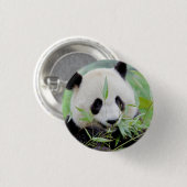 Button Foto reuzenpanda , animal 0036. (Voorkant /achterkant)