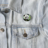 Button Foto reuzenpanda , animal 0036. (In situ)