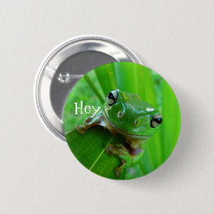 Button groene boomkikker