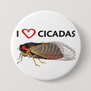 Button "I Love Cicada"