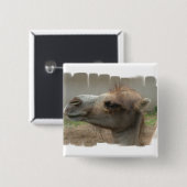 Button kamelenkop (Voorkant /achterkant)