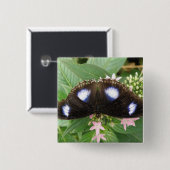 Button met blauw gepotte vlinder (Voorkant /achterkant)