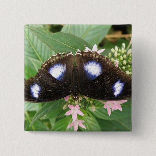 Button met blauw gepotte vlinder (Voorkant)