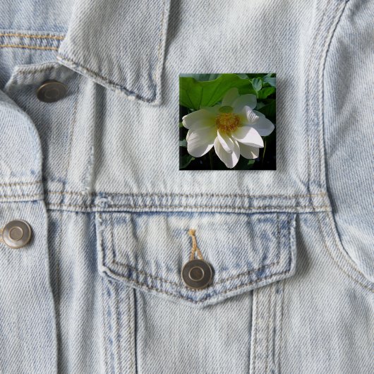 Button met fijne witte Lotusventilator (In situ)