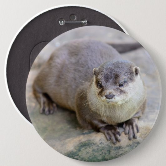 Button met klepelotter (Voorkant /achterkant)