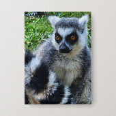 Button met Ringstaartmaki – Unieke Dierenprint (Voorkant)