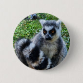 Button met ringstaartmaki – unieke dierenprint (Voorkant)