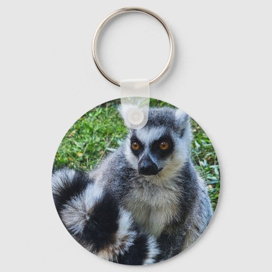 Button met ringstaartmaki – unieke dierenprint sleutelhanger (Voorkant)