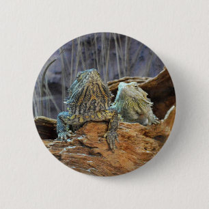 Button met twee merkwaardige lizards