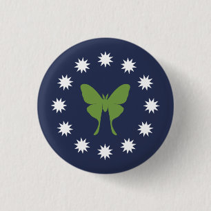 Button Moth & Bugs