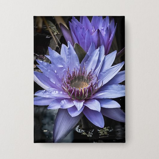 Button "New Blue" (Voorkant)