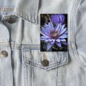 Button "New Blue" (Insitu)