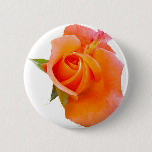 Button Oranje Roos / badge / Brooch