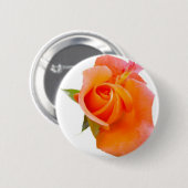 Button Oranje Roos / badge / Brooch (Voorkant /achterkant)