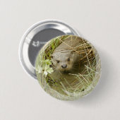 Button Otter Habitat (Voorkant /achterkant)