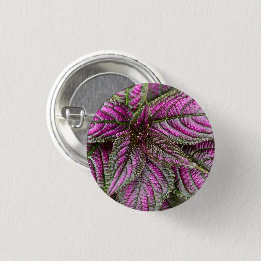 Button - Perzisch schild (Voorkant /achterkant)