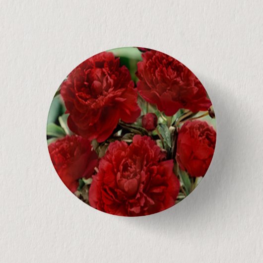 Button Rode anjerbloemen (Voorkant)