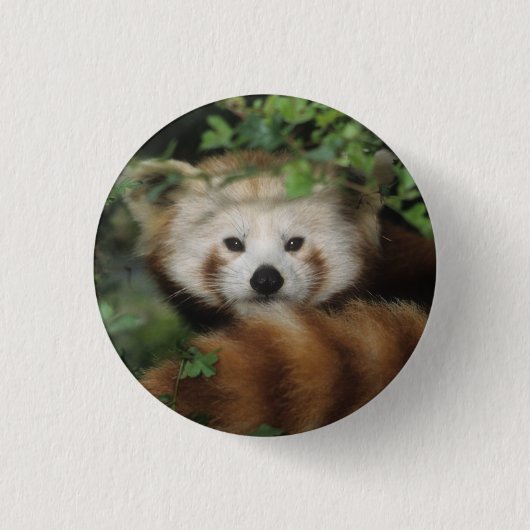 Button - rode panda (Voorkant)