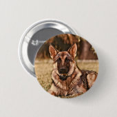 Button Shepherd Dog Hackibus (Voorkant /achterkant)