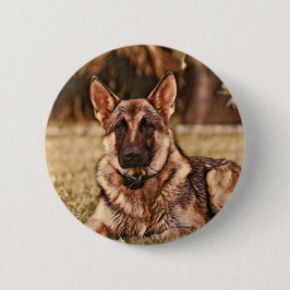 Button Shepherd Dog Hackibus