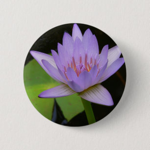 Button, Soft Lavender Water Lily 300 Ronde Button 5,7 Cm