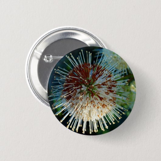 Button Struik (Voorkant /achterkant)