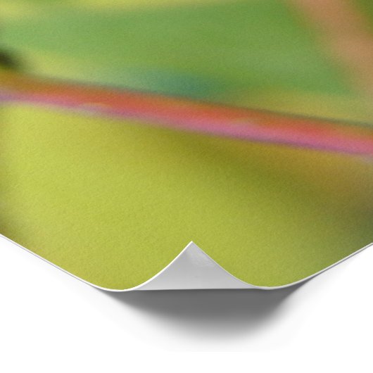 Button Struik #2 Poster (Hoek)