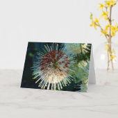 Button Struik Kaart (Gele Bloem)