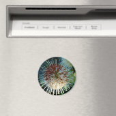 Button Struik Magneet (Insitu (Vaatwasser))