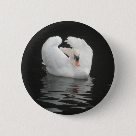 Button Swan Swimming (Voorkant)