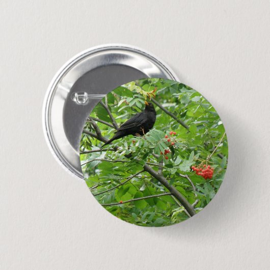 Button van Blackbird en Berries (Voorkant /achterkant)