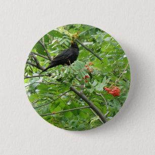 Button van Blackbird en Berries