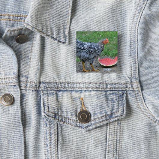 Button van Chicken Watermelon (In situ)