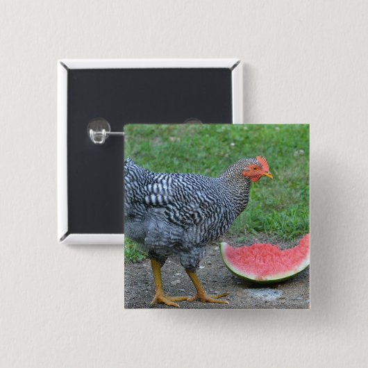 Button van Chicken Watermelon (Voorkant /achterkant)