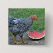 Button van Chicken Watermelon (Voorkant)