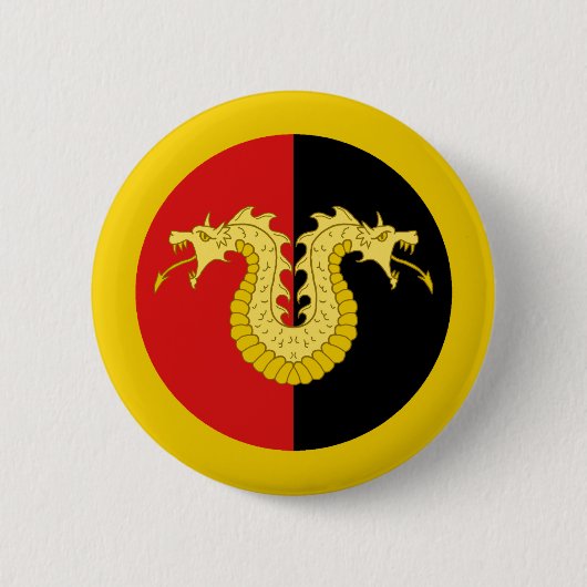 Button van de jas van Dragon met de laire-insteekp (Voorkant)