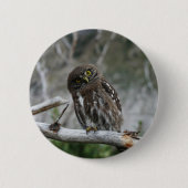 Button van de noordelijke Pygmy Owl (Voorkant)