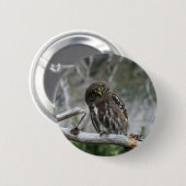 Button van de noordelijke Pygmy Owl (Voorkant /achterkant)