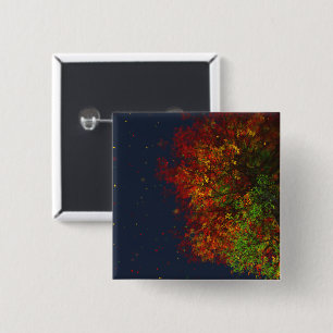 Button van de regenboog