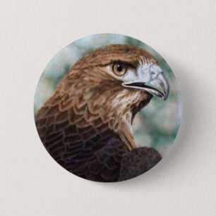 Button van de rode staart