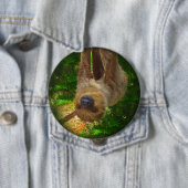Button van de Sloth Rainforest (In situ)