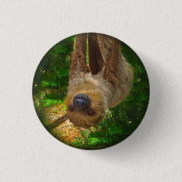 Button van de Sloth Rainforest