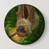 Button van de Sloth Rainforest (Voorkant)