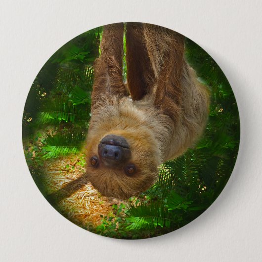 Button van de Sloth Rainforest (Voorkant)