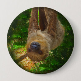 Button van de Sloth Rainforest